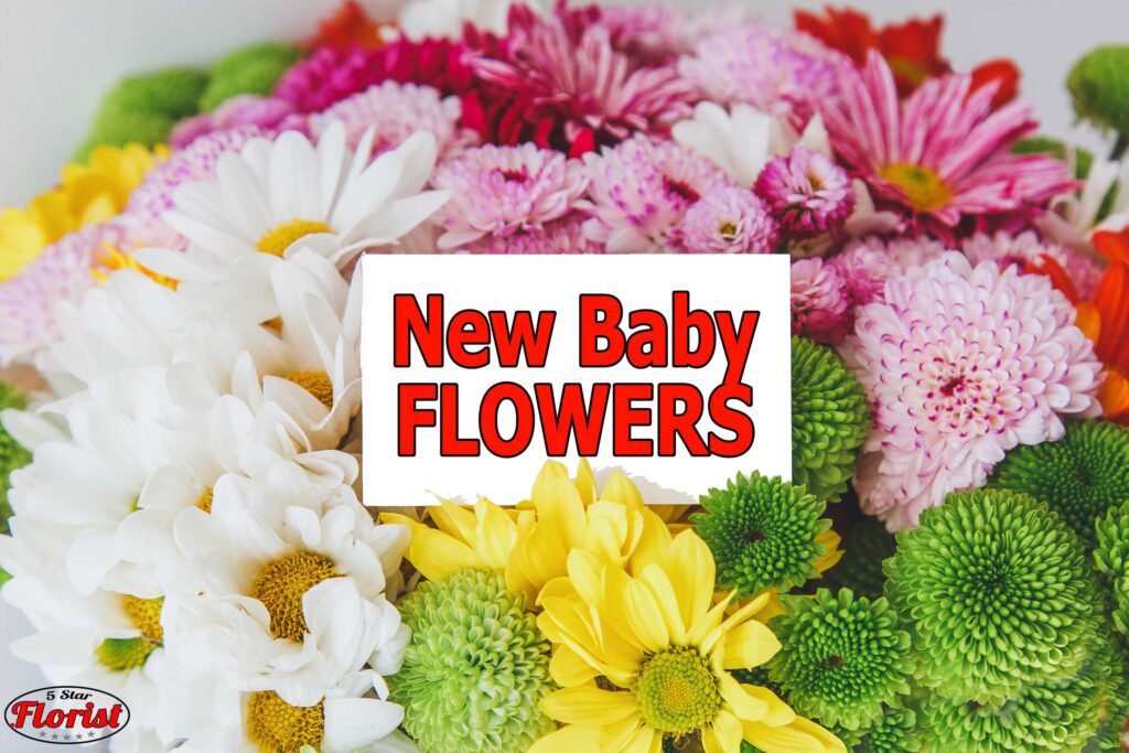 new baby flowers Kingston